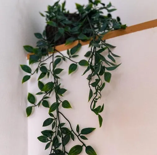 Pollicino House * 卡尔塔吉罗