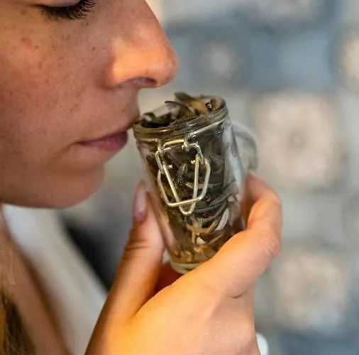 度假居 Pollicino House *